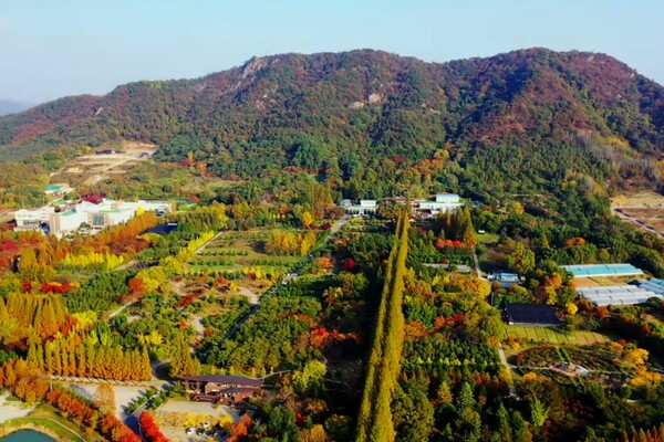 전라남도 '나주'의 매력을 발견하는 특별한 여행