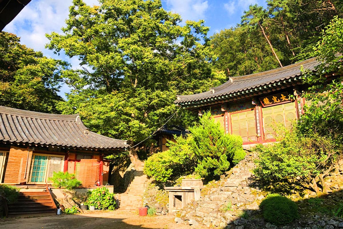 이렇게 넓은 작약꽃밭이 여기에?”... 아름다운 우리의 자연과 역사가 ...