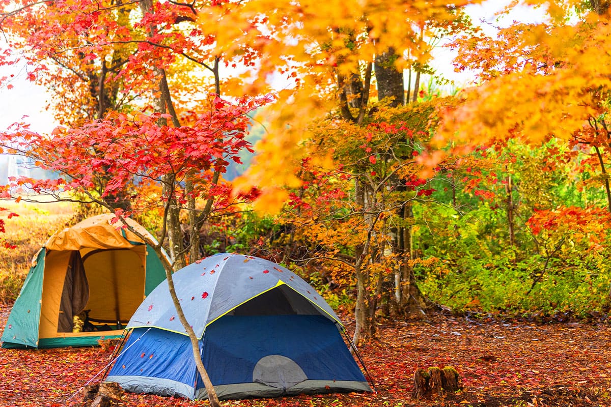 가을 감성 캠핑, 어디로 떠나볼까? 인생샷 보장 캠핑 명소 추천! - 주요 이미지