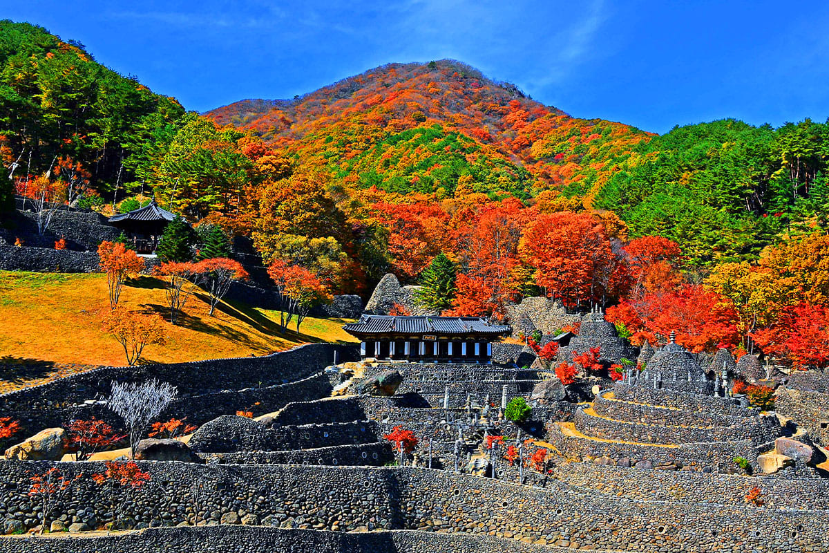 삼성궁의 가을