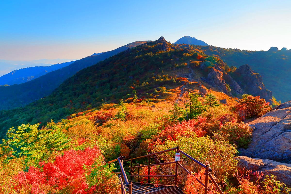 지리산 국립공원 봉우리 단풍나무