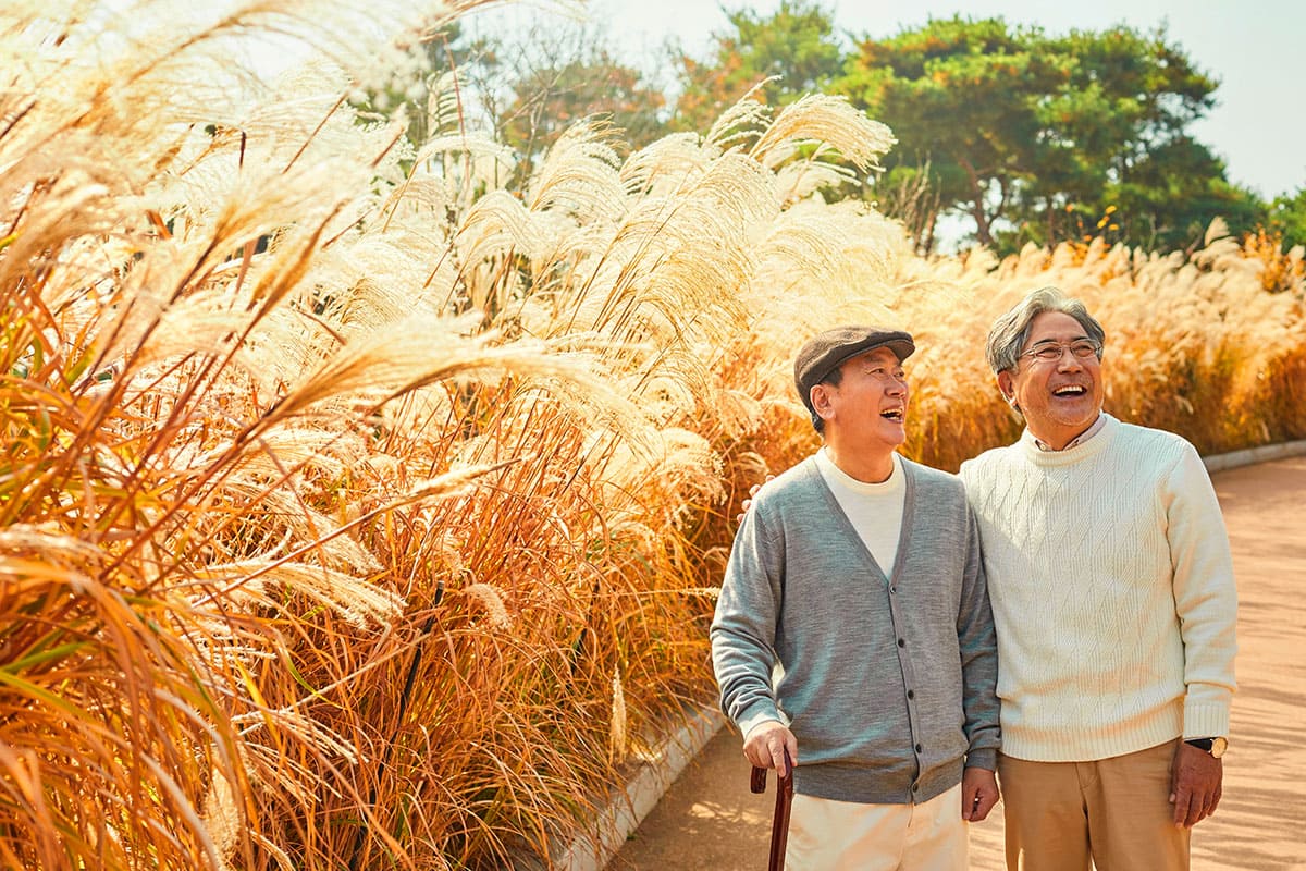 억새 산책하는 관광객