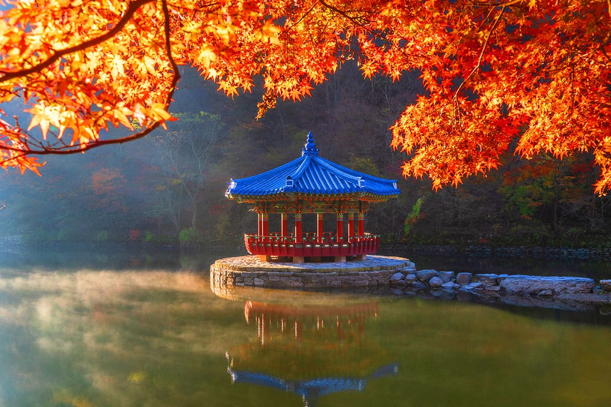 내장산 우화정 단풍