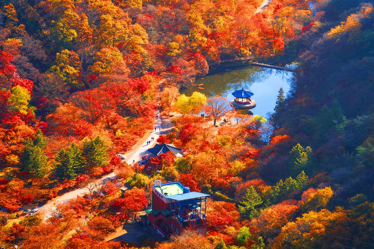 내장산국립공원 단풍뷰 전경