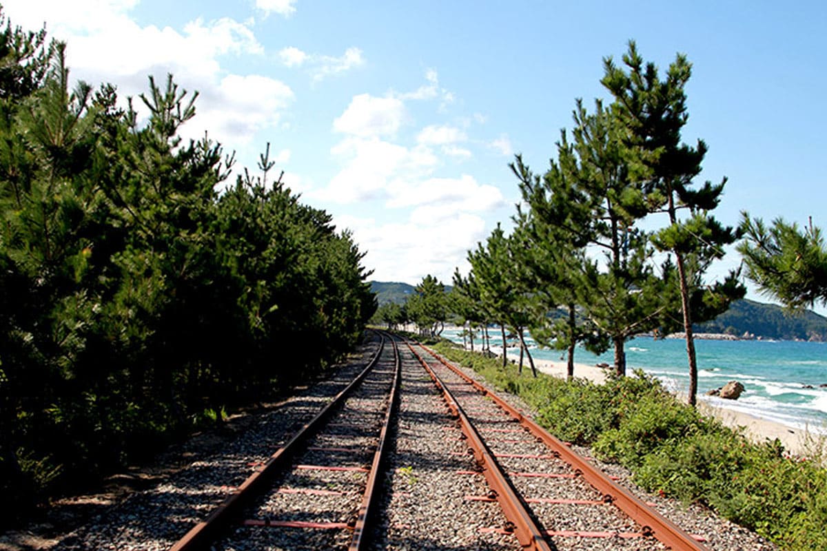 선선한 바람을 즐길 수 있는 삼척 해양레일바이크