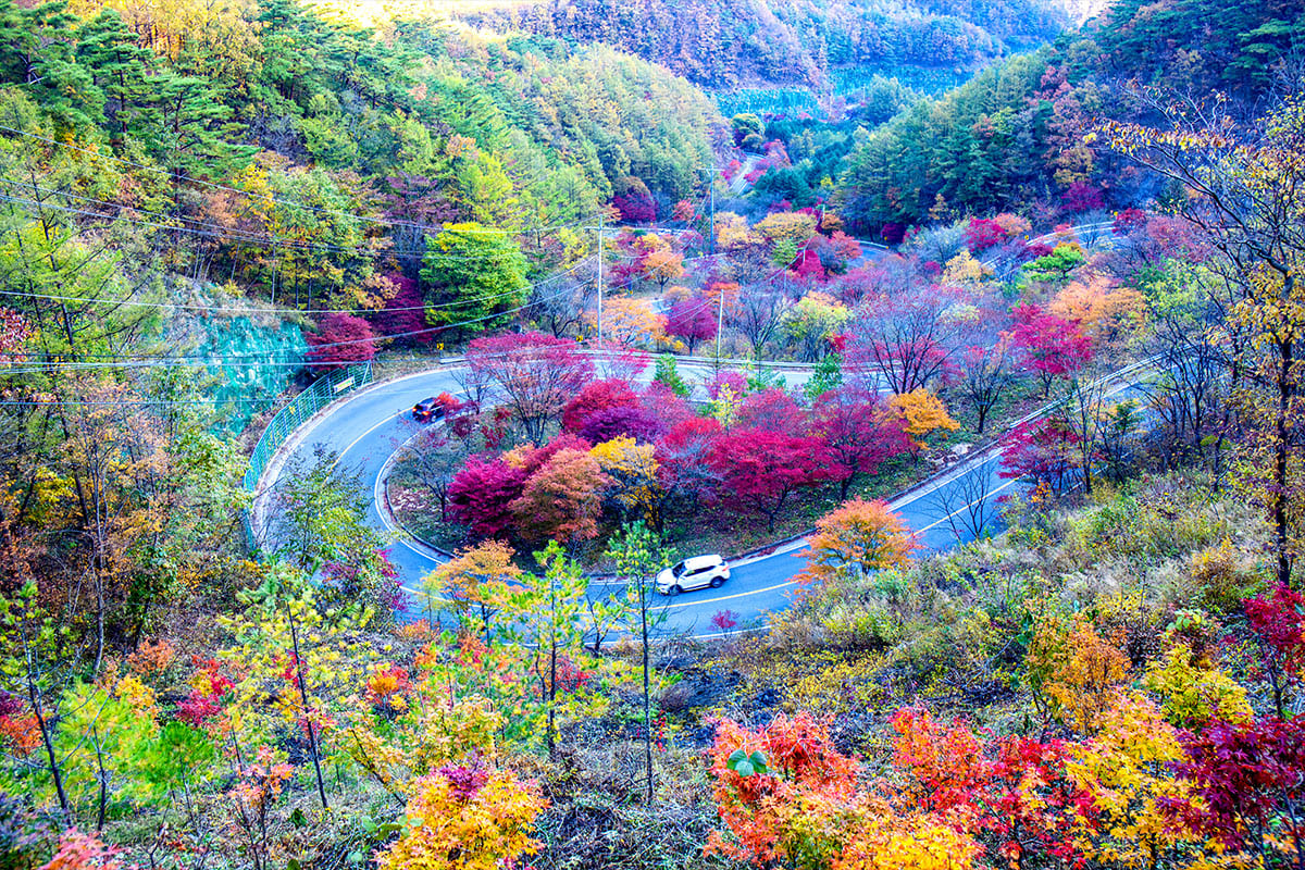 가을철 단양 보발재의 모습