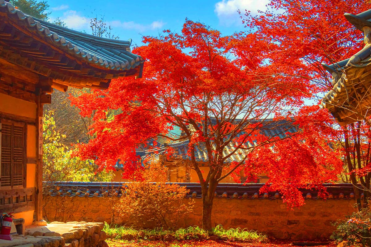 영주 소수서원, 우리나라 최초의 사액 서원을 거니는 역사 산책