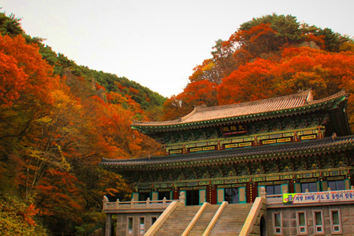 가조온천관광지, 주홍빛 황화 코스모스와 단풍이 어우러진 가을 명소
