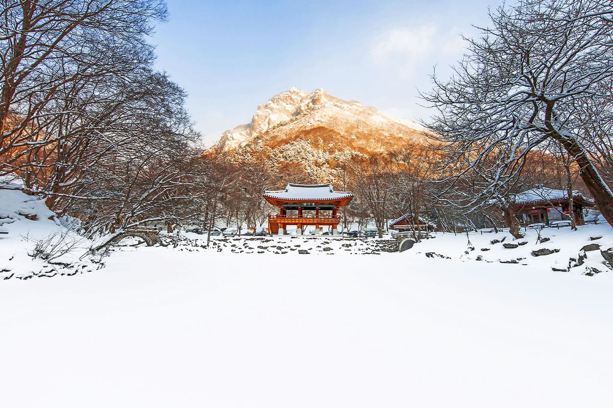 “인생 최고로 아름다워요”... 연말에 방문하면 좋은 설경 명소