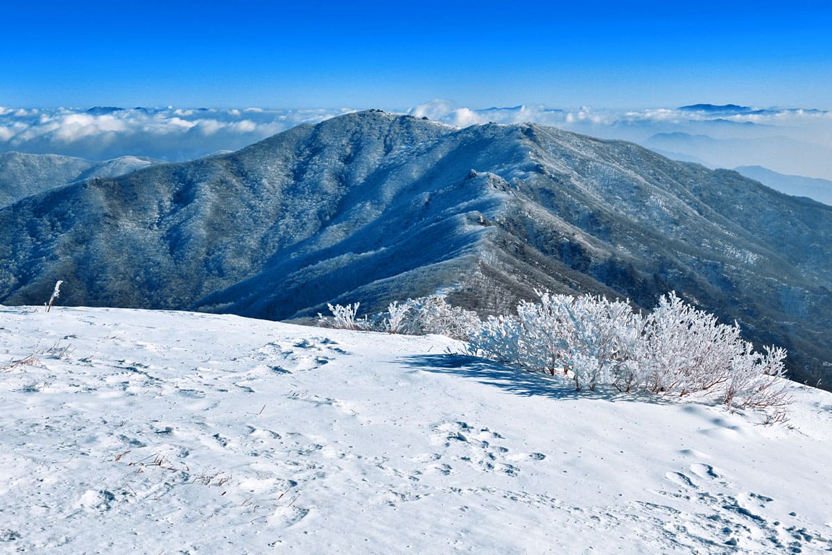 “알프스까지 갈 필요 없다!”...등산 마니아를 사로잡는 우리나라 설산