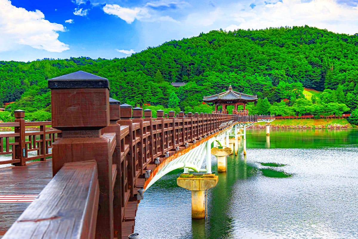 2025년 설날에 꼭 가봐야 할 안동 명소 3선