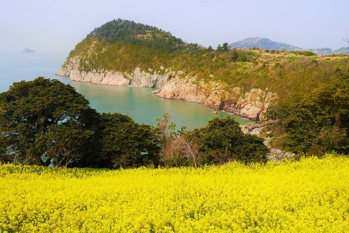신안 임자도 튤립공원, 다도해 바다와 어우러진 이국적인 튤립 정원