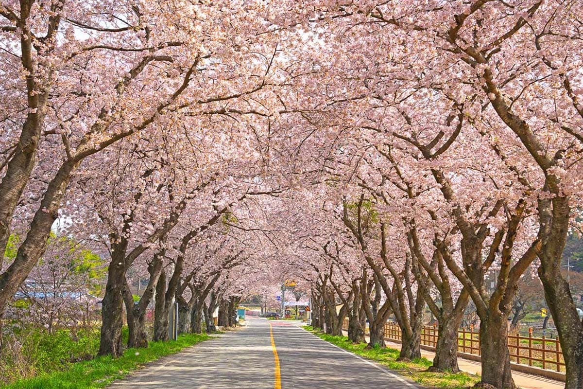 경주 무료 산책 명소 3곳, 놋점들·선덕여왕길·암곡