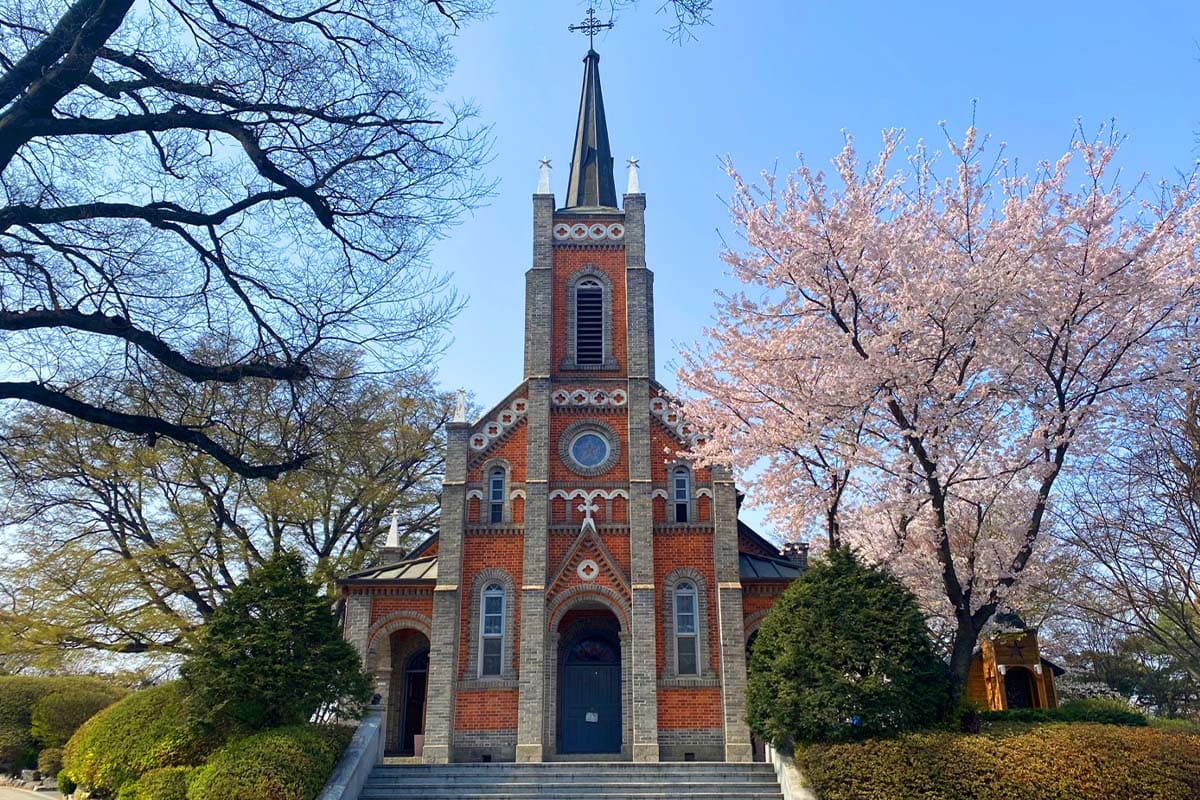 지자체가 추천하는 로컬 봄 여행지 4곳: 아산·청주·제천·가평