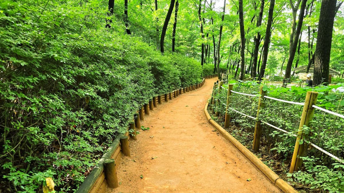 광명시 맨발 걷기 명소 3곳: 새빛·소하·한내근린공원
