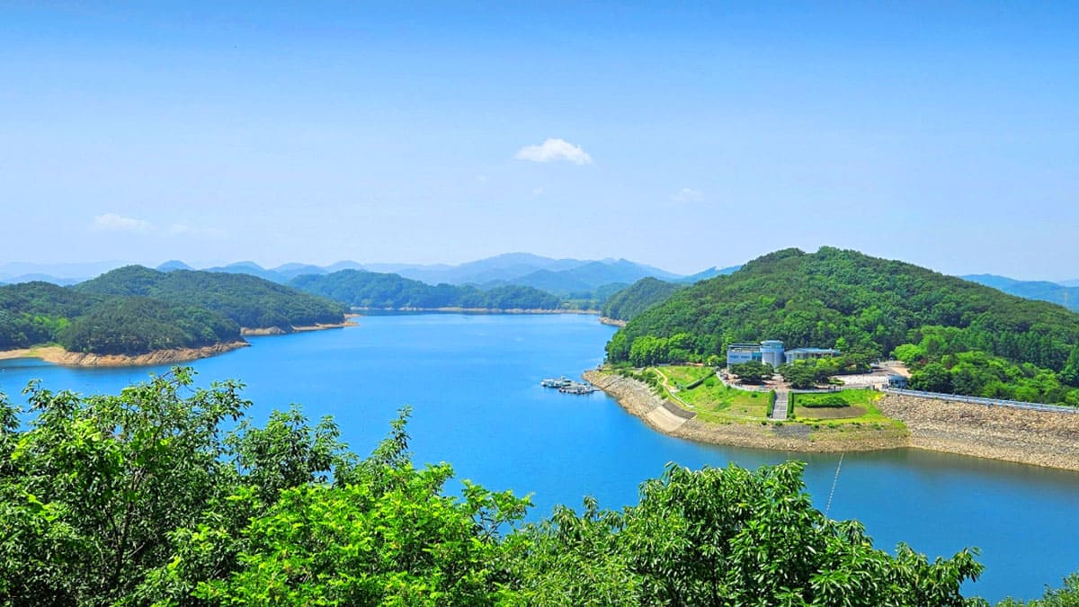 대전 힐링 걷기 명소 6선, KAIST 숲길부터 대청공원까지