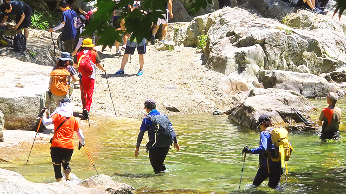 정책지식 2025.7.22. : 네이버 블로그