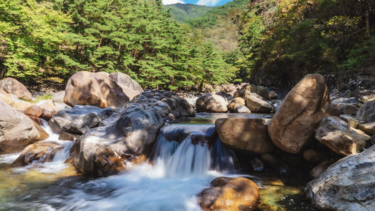 산청 대원사계곡 생태탐방로, 천왕봉 물줄기 따라 걷는 3.5km 계곡 길