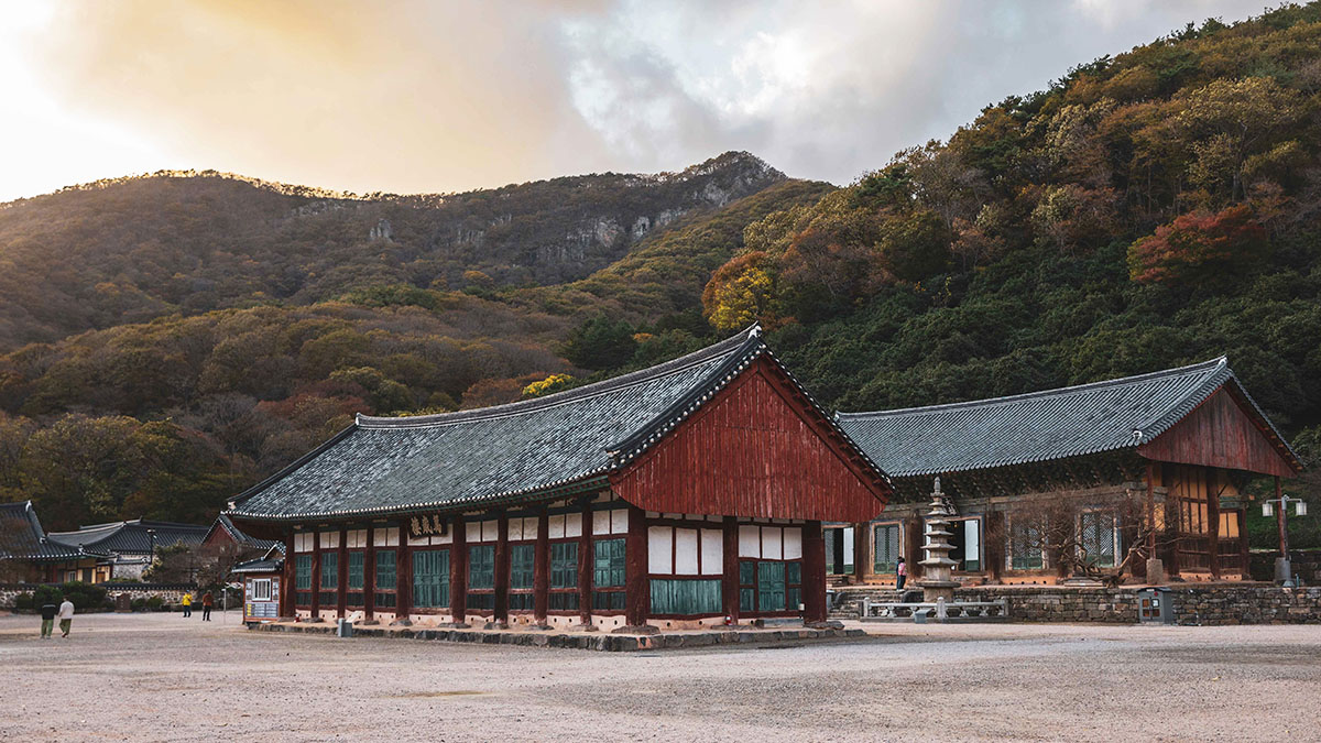 고창 선운사 가을