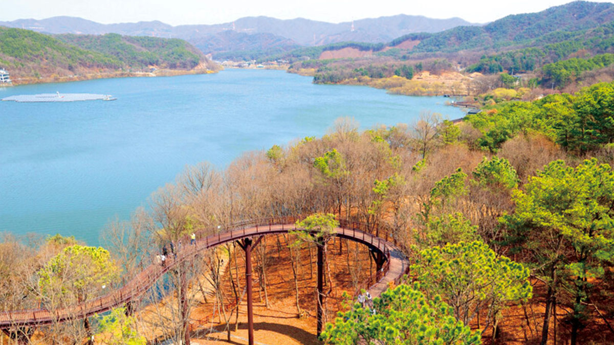"5060세대가 왜 극찬했는지 알겠네"… 25m 전망대·호수 품은 무료 산책 명소