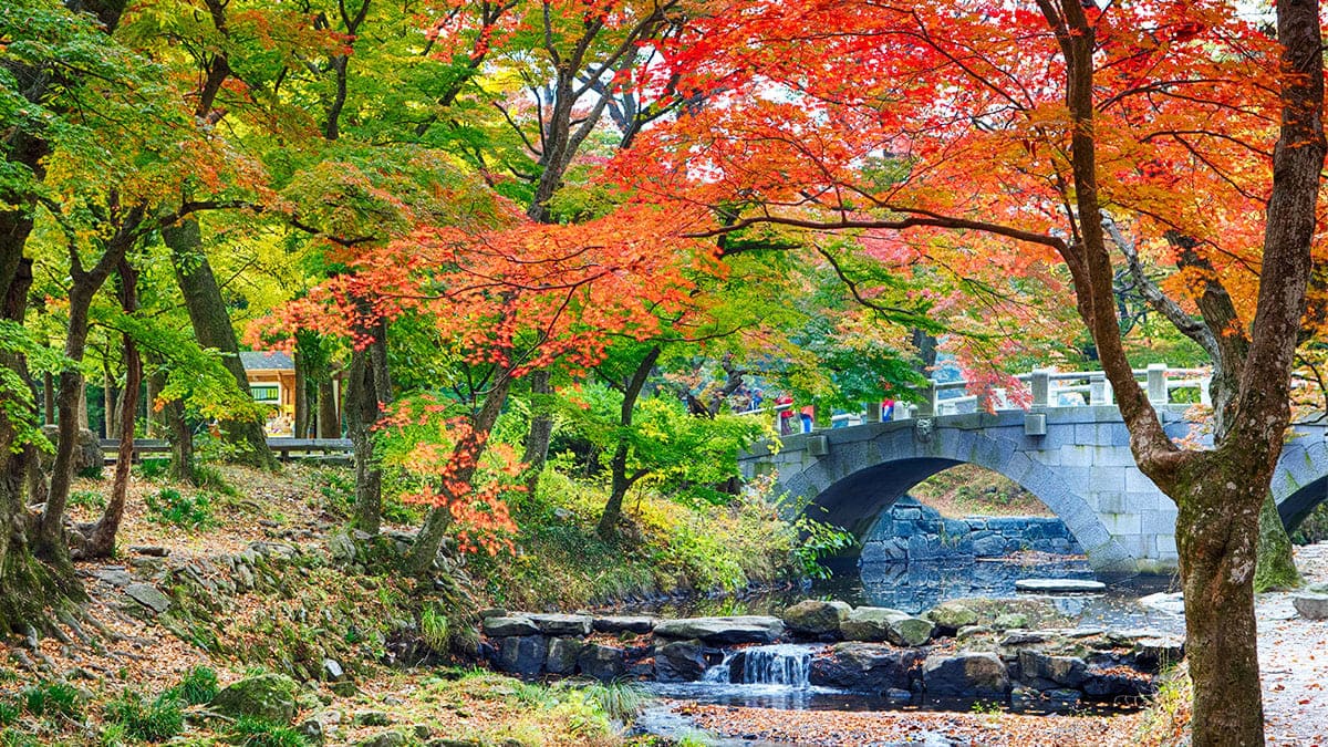 고창 선운사 가을