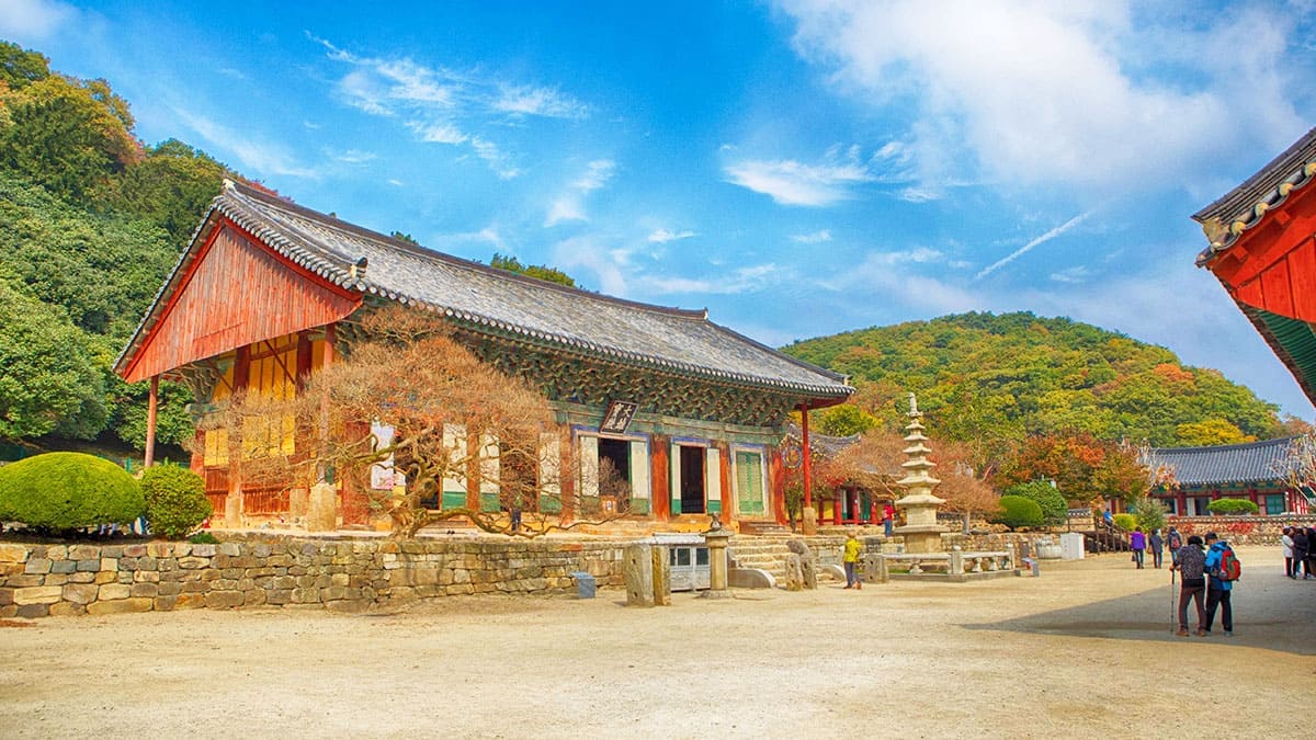 고창 선운사 가을 풍경