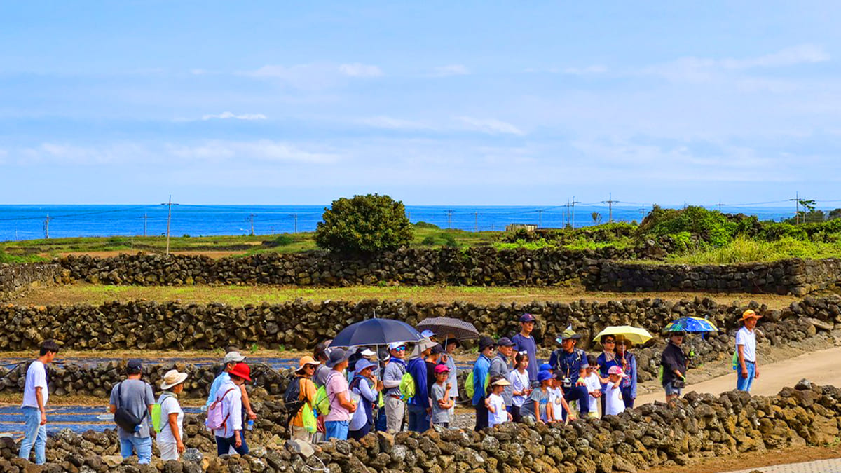 섬야시즌 야간불빛축제
