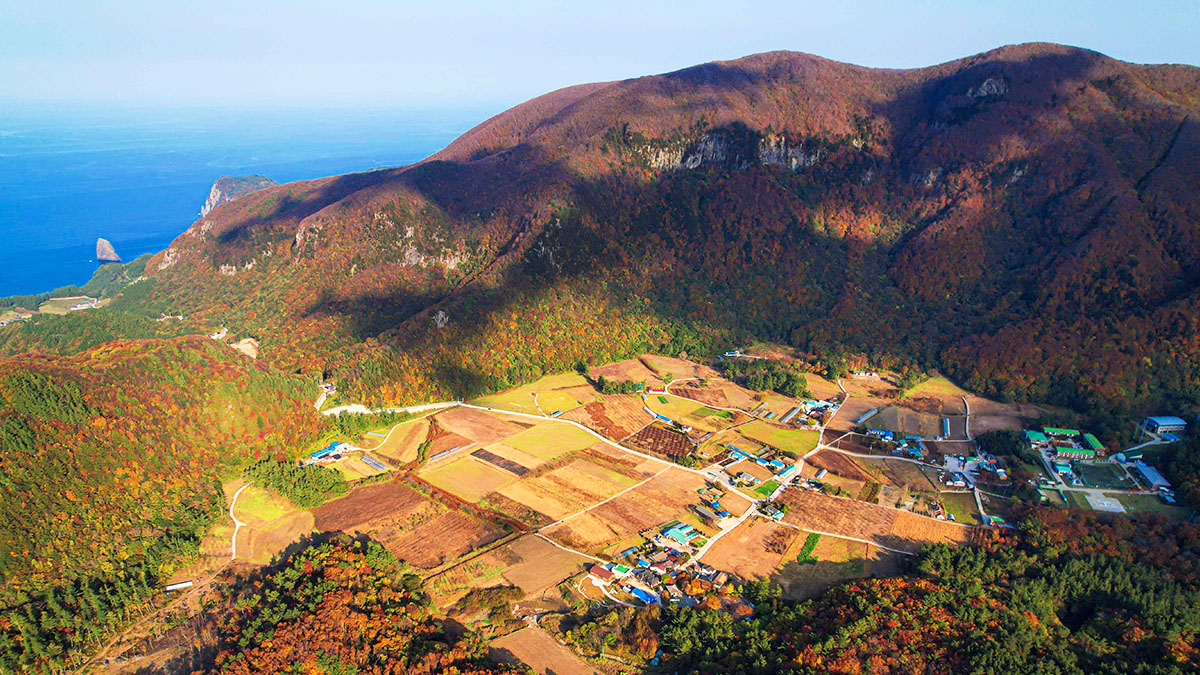 울릉도 나리마을, 화산 분지가 품은 UN 선정 최우수 관광 명소