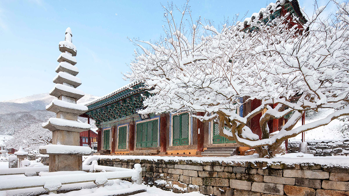 고창 선운사 겨울
