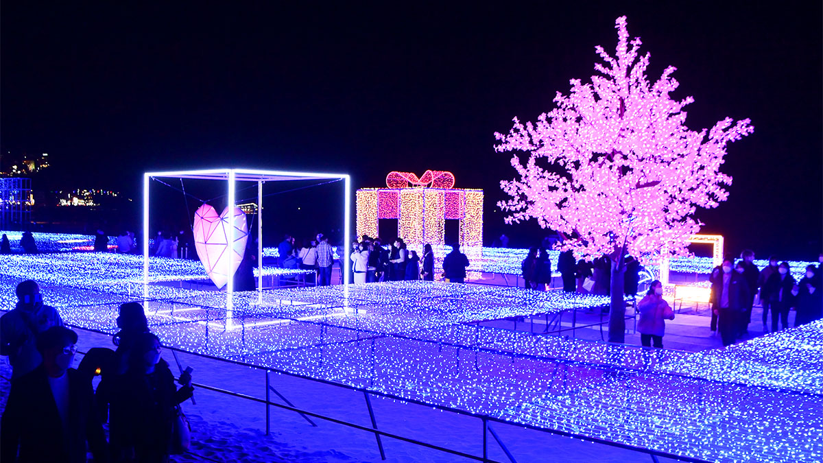 빛 축제 관련 이미지 - 아덴트뉴스