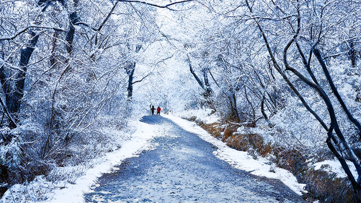 대구 앞산전망대, 케이블카로 편안하게 즐기는 겨울 도심 전망 명소