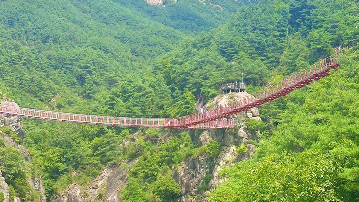 거창 Y자형 출렁다리, 깎아지른 협곡을 잇는 국내 유일의 세 갈래 산악 보도교
