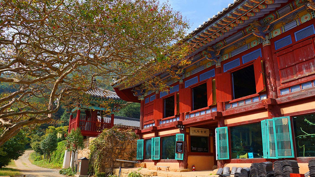 강진 백련사, 1,500그루 동백꽃이 붉게 피어나는 천년 사찰