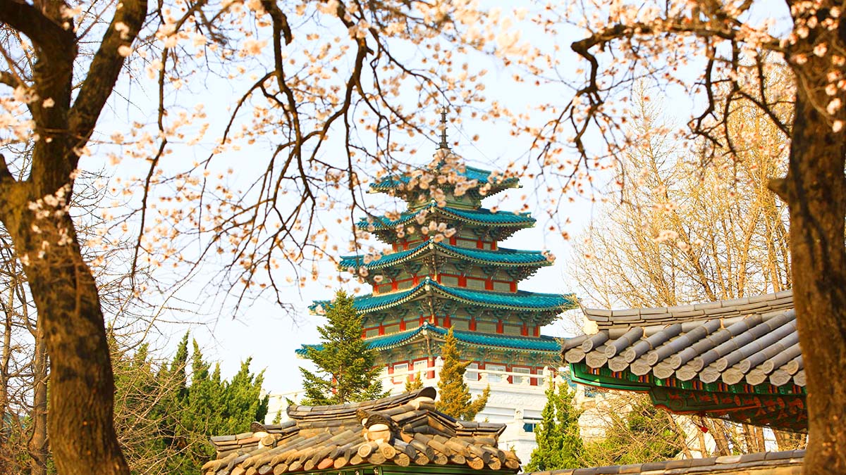 국립민속박물관 관련 이미지