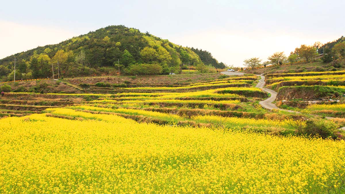 남해 파라다랑스