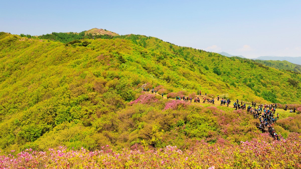 지리산 바래봉 트레킹