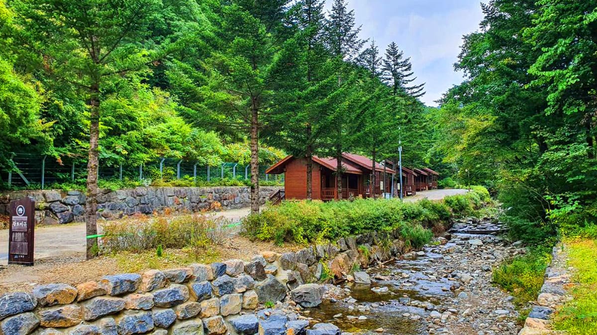 국립삼봉자연휴양림 숲속의 집