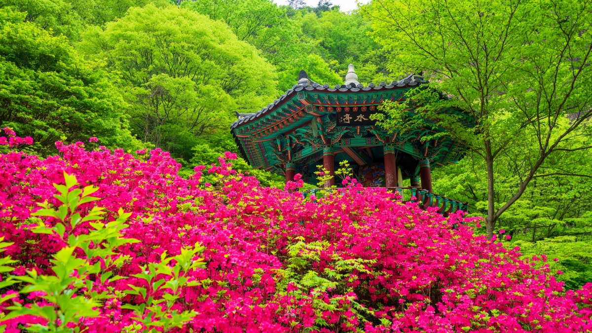강천산군립공원의 봄