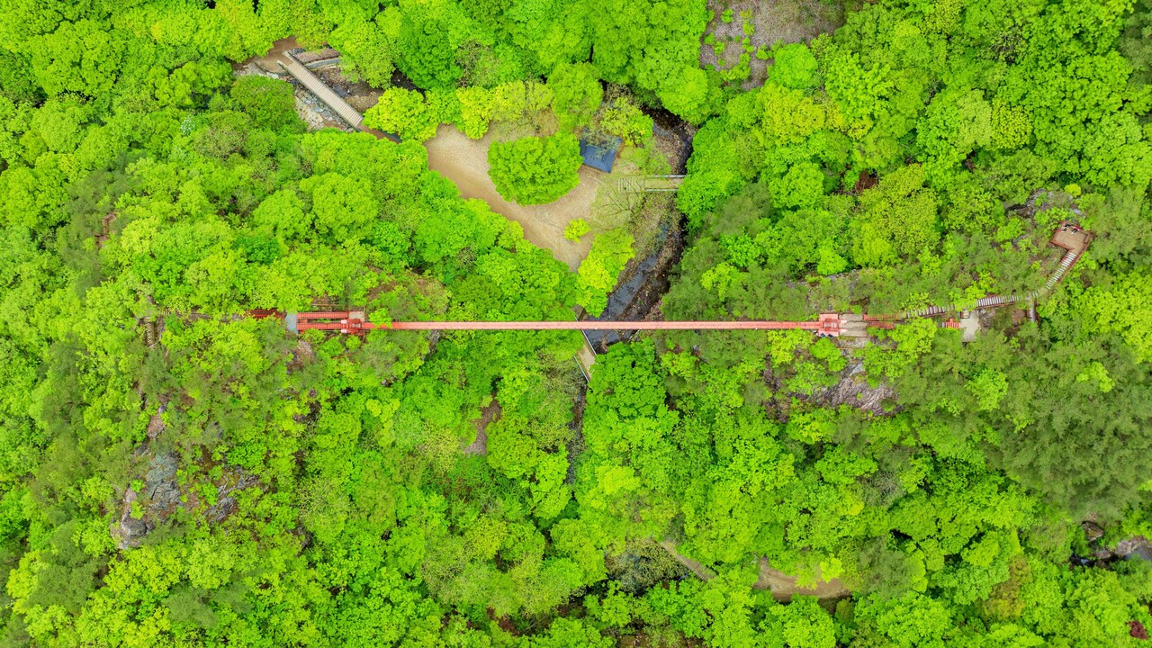 강천산군립공원 구름다리