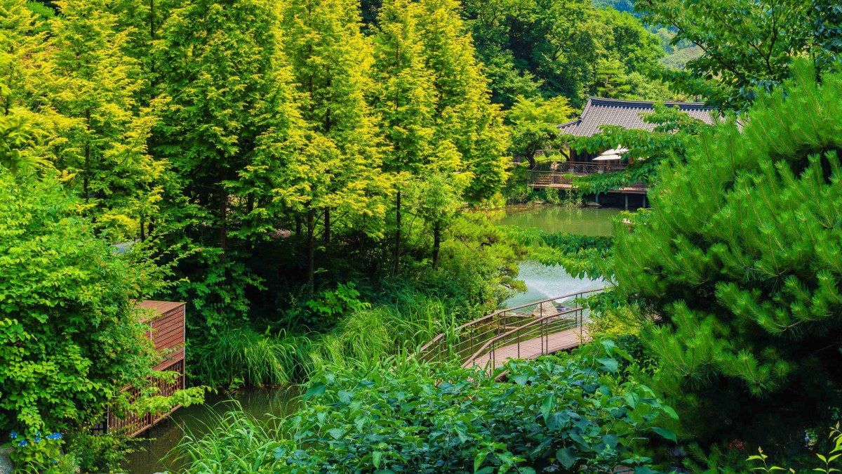 화담숲