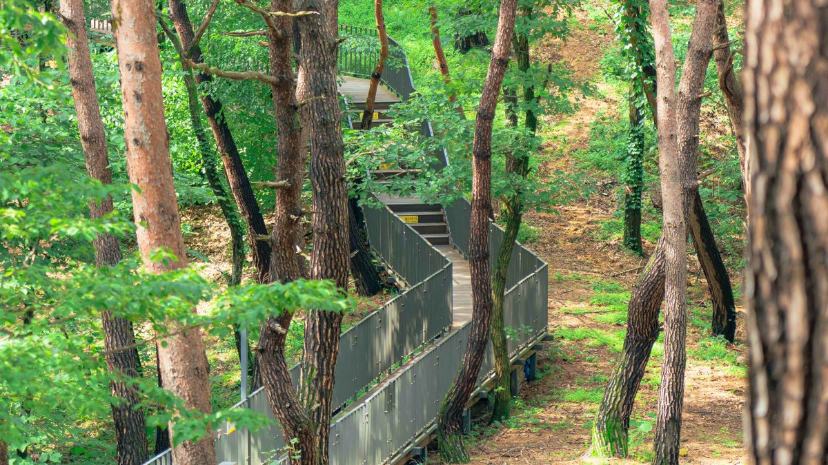 소금산 산책로
