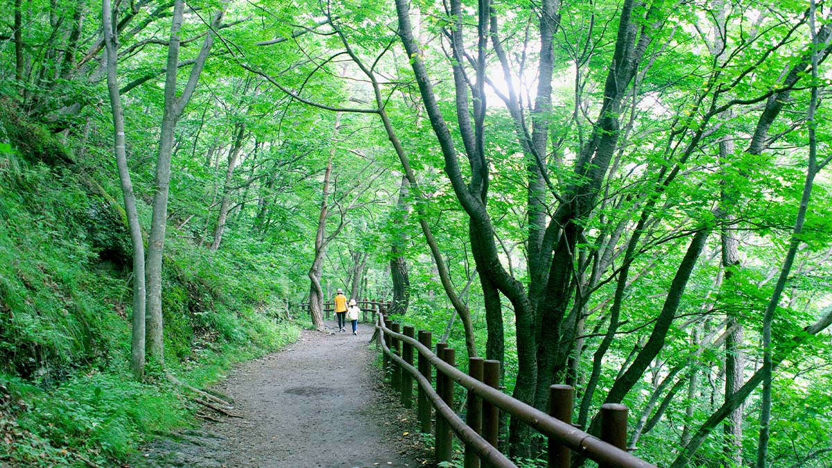 주왕산국립공원 탐방로