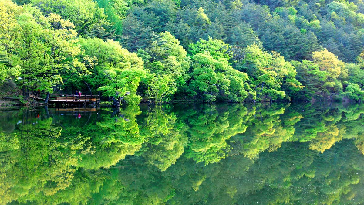 주왕산국립공원 주산지