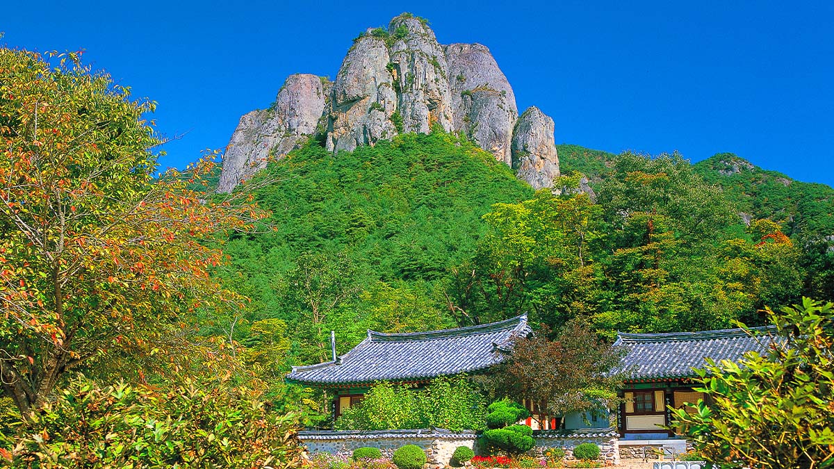 주왕산국립공원 대전사