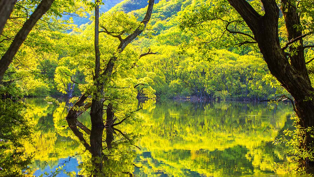 주왕산국립공원 호수