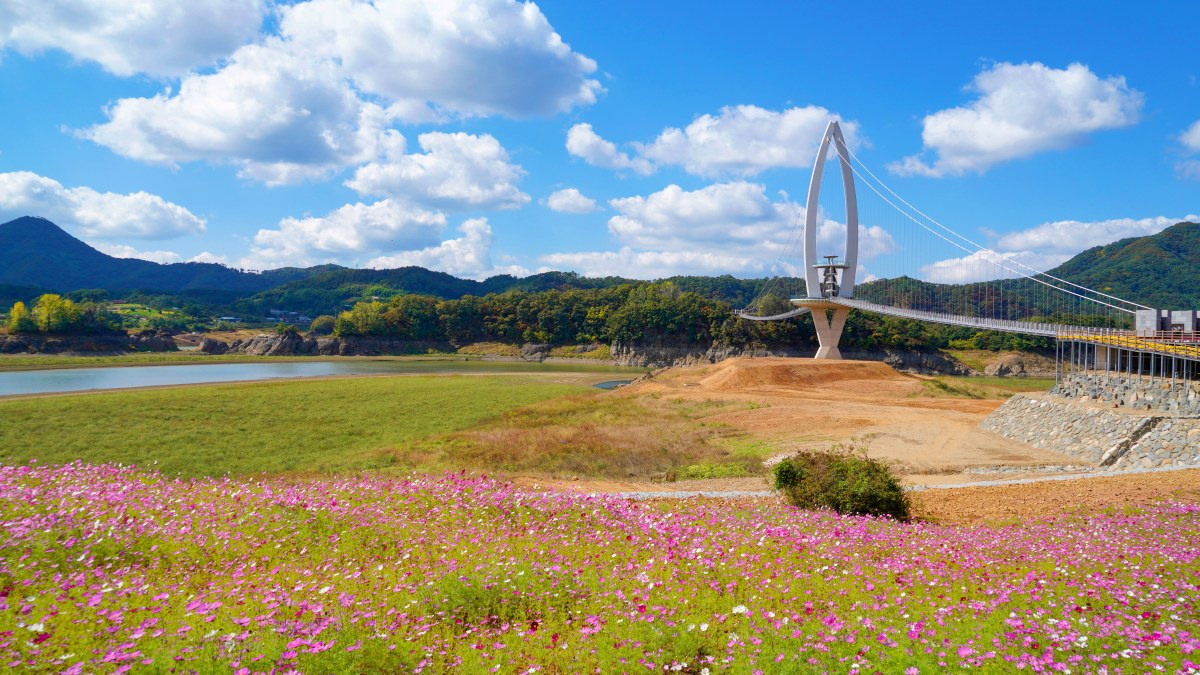 붕어섬의 봄