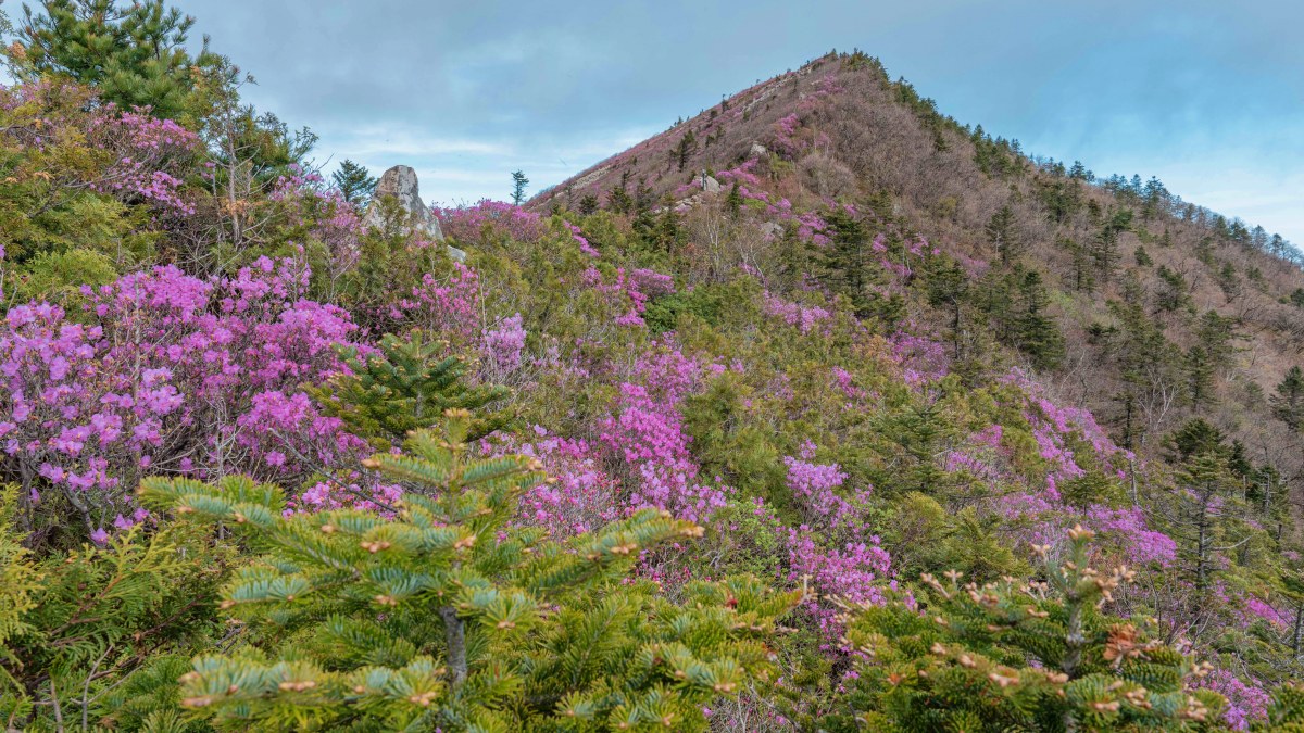 설악산
