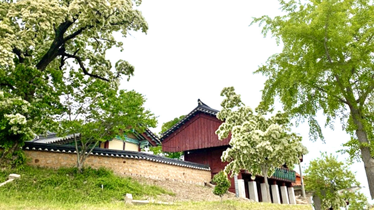 포항 임허사