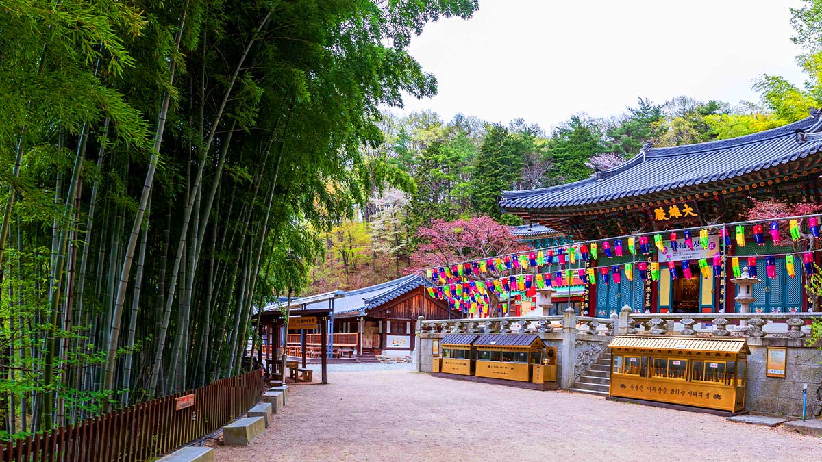 홍룡사 풍경