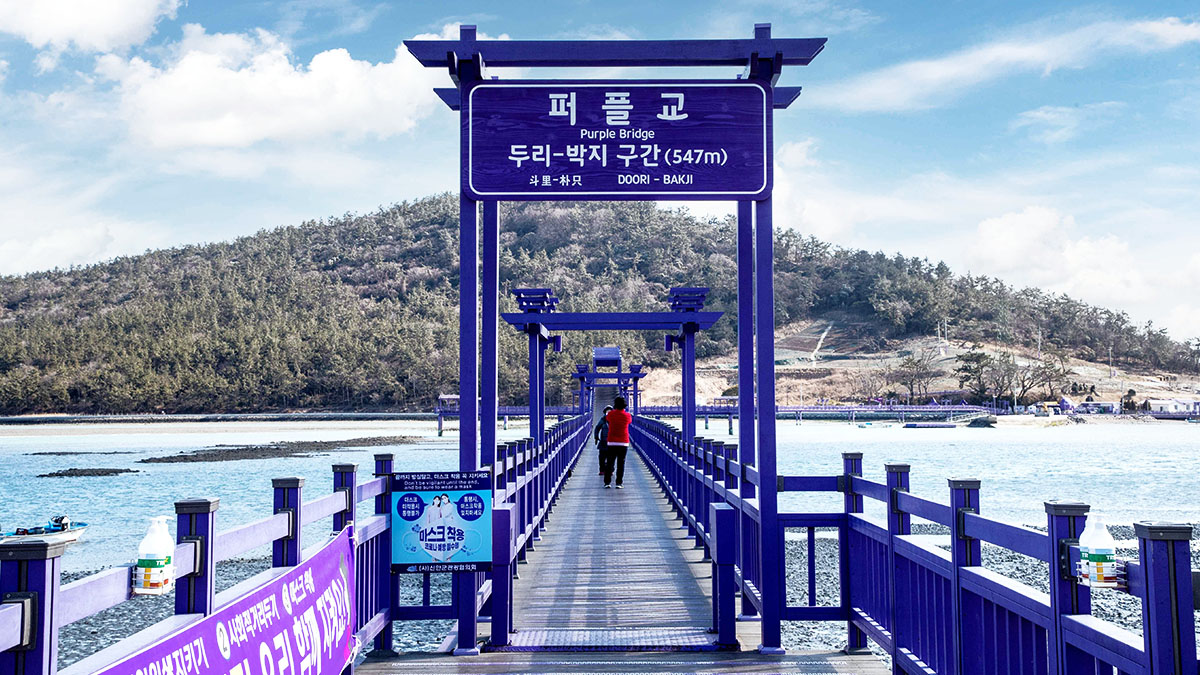 퍼플섬 퍼플교